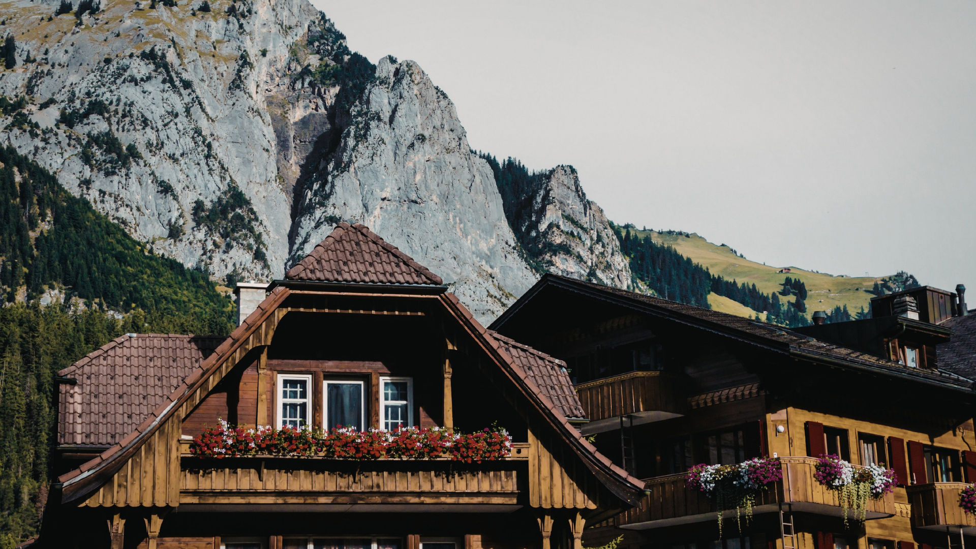 nettoyage toiture samoens